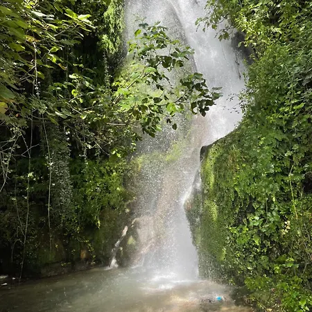Florika شقة فندقية