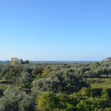 Florika