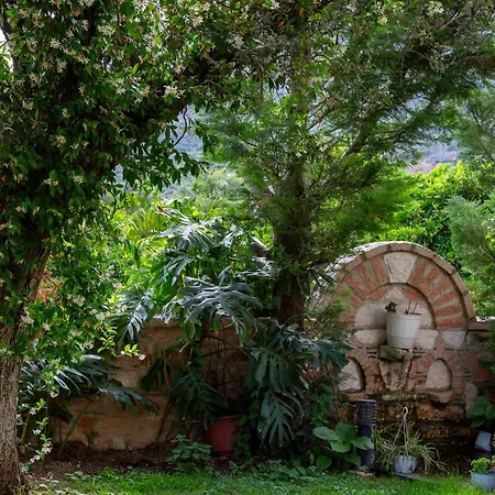 Florika Lägenhetshotell Borsh