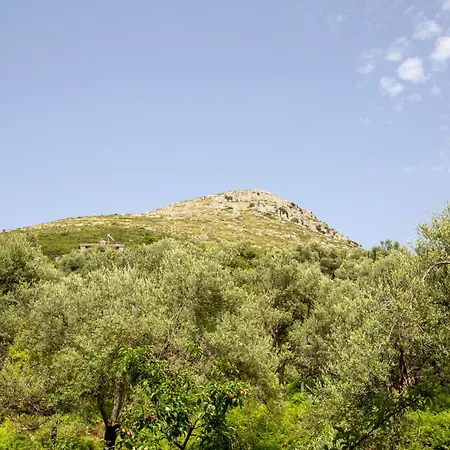 Lägenhetshotell Florika